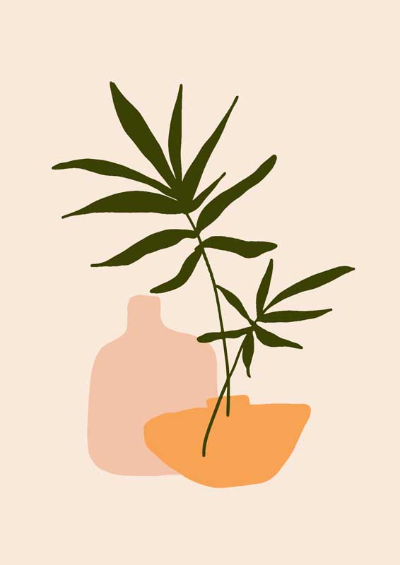 铁杆公鸡毛茸茸的猫